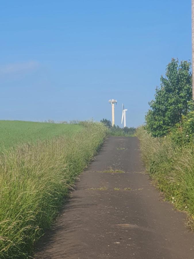 Schoene Aussicht Nettersheim Luaran gambar