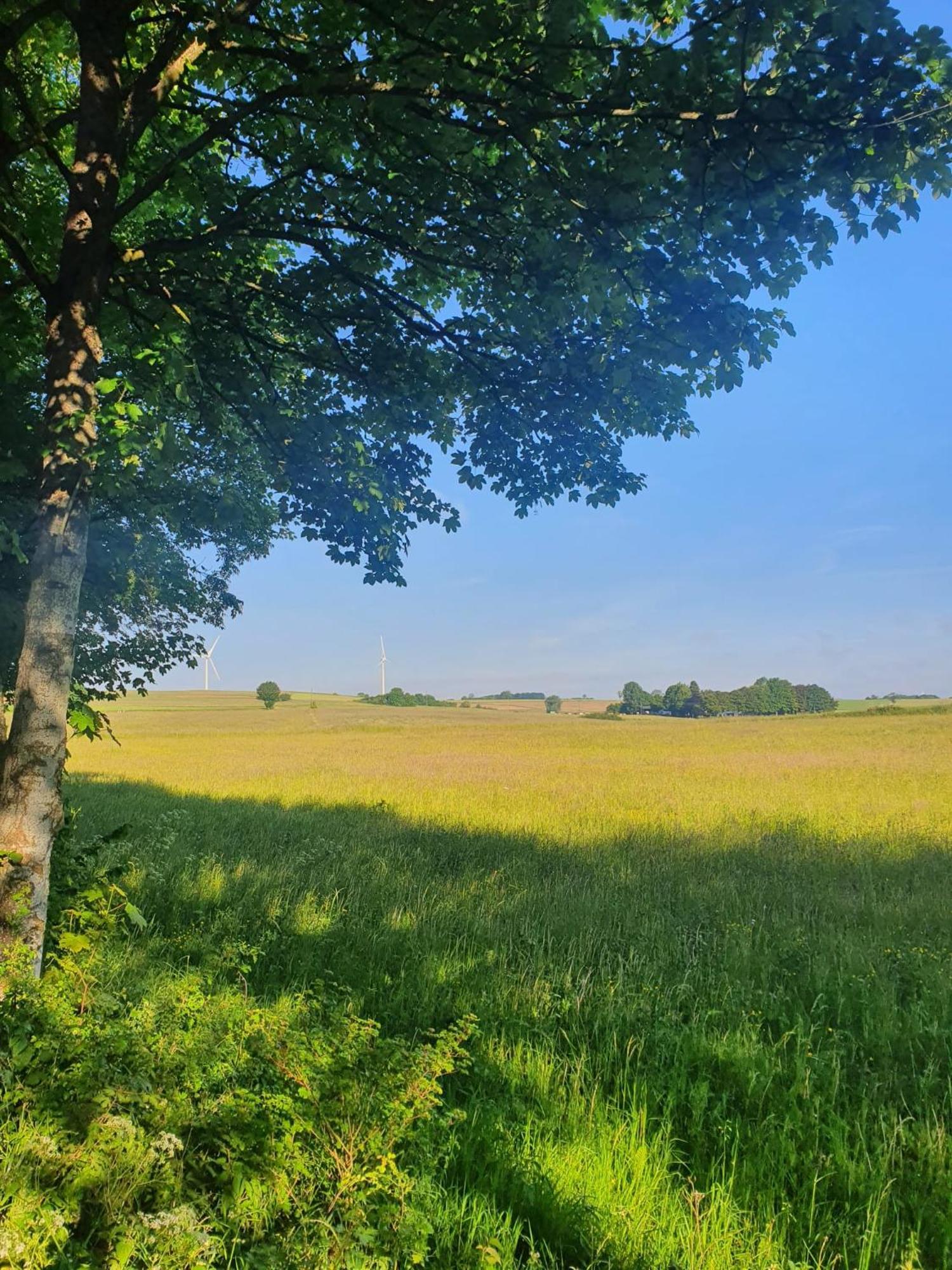 Schoene Aussicht Nettersheim Luaran gambar