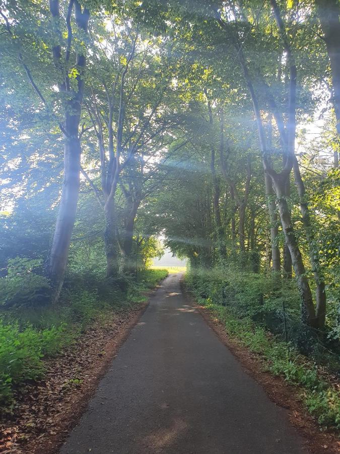 Schoene Aussicht Nettersheim Luaran gambar